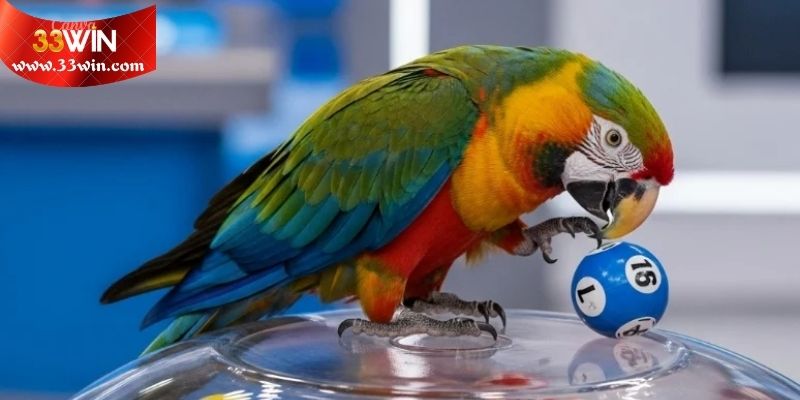 Phân tích chi tiết từng trường hợp mộng mị