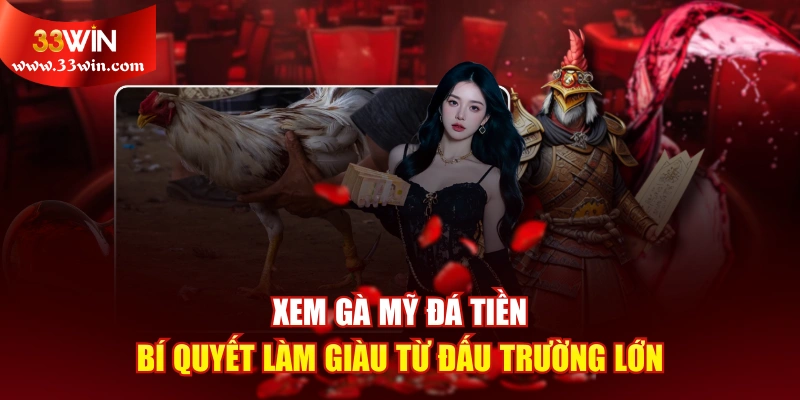 Xem Gà Mỹ Đá Tiền - Bí Quyết Làm Giàu Từ Đấu Trường Lớn